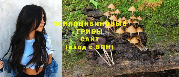 хмурый Бородино