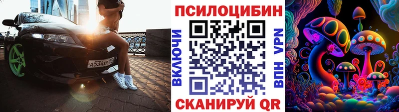 Псилоцибиновые грибы Psilocybe  купить наркотики сайты  Семилуки 